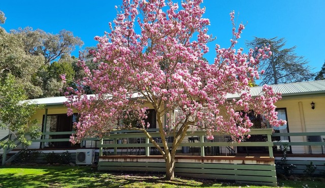 Golden Heritage Apartments Beechworth