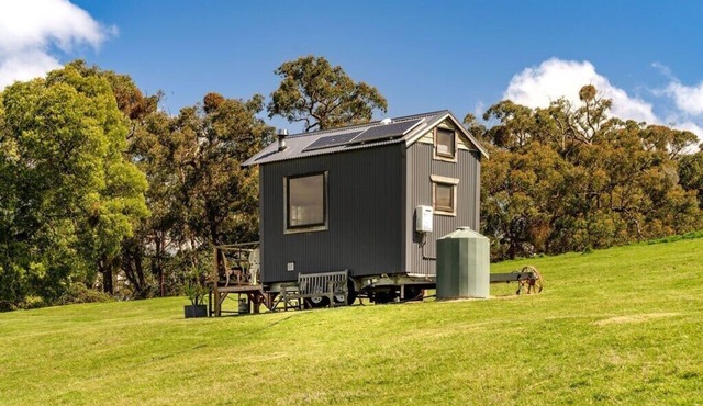 Golden Plains by Tiny Away