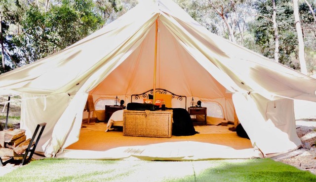 Golden Point Glamping