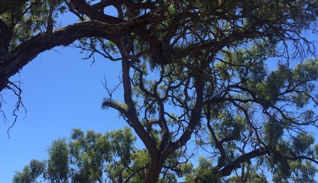 Goldfields homestead retreat