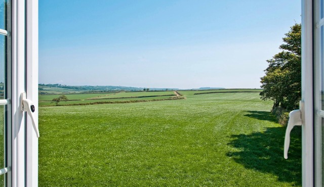 Goldfinch Apartment - UK49296