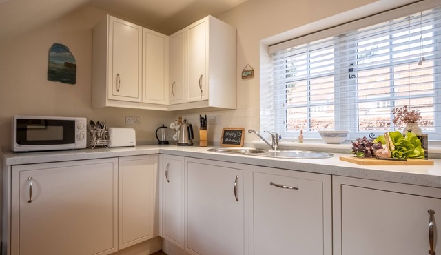 Goldfinch, Burnham Norton, Norfolk