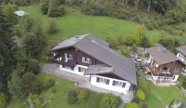 Goldrose by Interhome