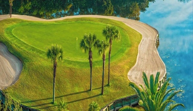 Golf and Country Club privileges! Heated Pool near Wellen Park & Braves Stadium
