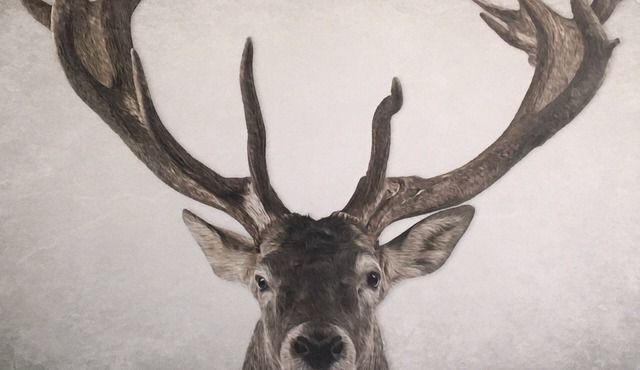 Golfers, fishermen, hunters, this spot is for you! Quiet, Cozy, and clean!