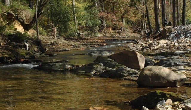 Gone Fishin Pigeon Forge Cabin, Hot Tub, Fire Pit, Creek View, Easy Access