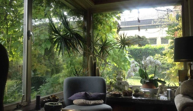Good Atmesphere near City and Nature