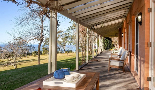 Good Dog Hill Homestead