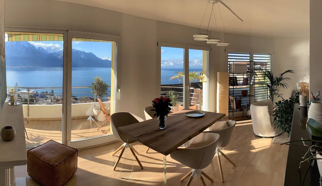 Good standing and panoramic view of Lake Leman