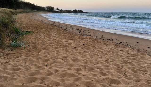 Good vibes in a 80's themed seaside oasis