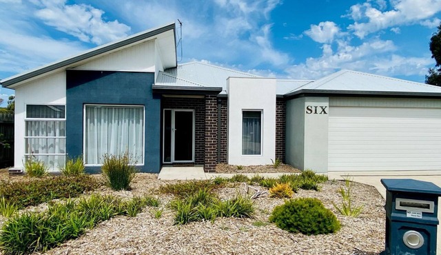 Goodenia Vibes - Inverloch