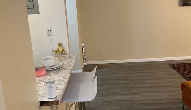 GORGEOUS 1/1 CONDO