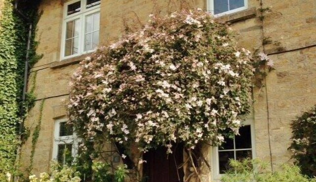 Gorgeous 2 Bedroom Country Cottage With Lovely Garden Views & Great Location