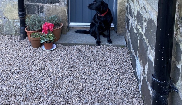 Gorgeous adjoined annexe of country house , 20 mins to beach.