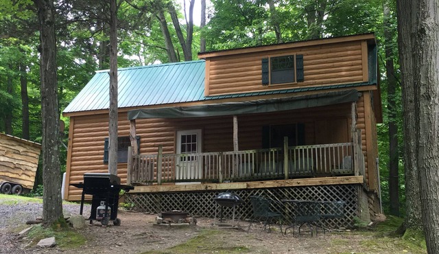 Gorgeous cabin for on lakefront property!