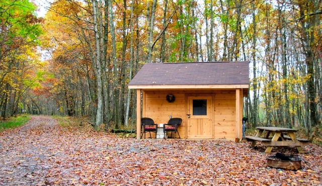 Gorgeous Cabin Rental for a Getaway near Oakland, Maryland