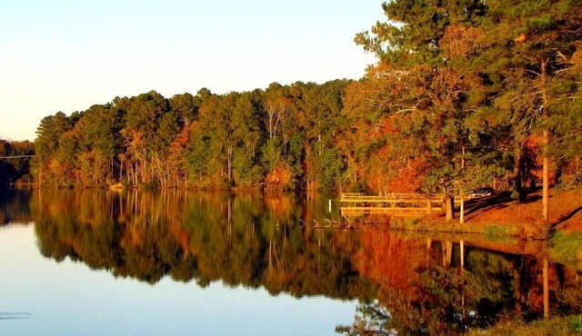 Gorgeous Chippewa Forest and Little Sand Lake @ backyard of this beautiful Cabin