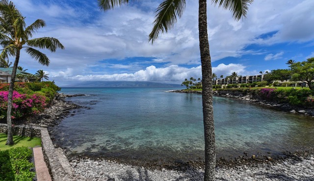 Gorgeous condo #203 View of Honokeana Cove