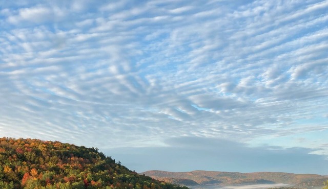 Gorgeous Country Escape for up to 10 in charming Cobleskill