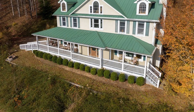 Gorgeous Country Chateau w/mountain views - 20 min to Asheville.