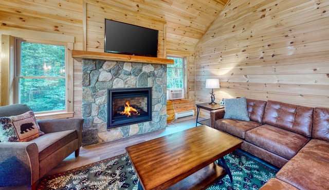 Gorgeous dog-friendly home with deck, hot tub, gas fireplace, & spectacular view