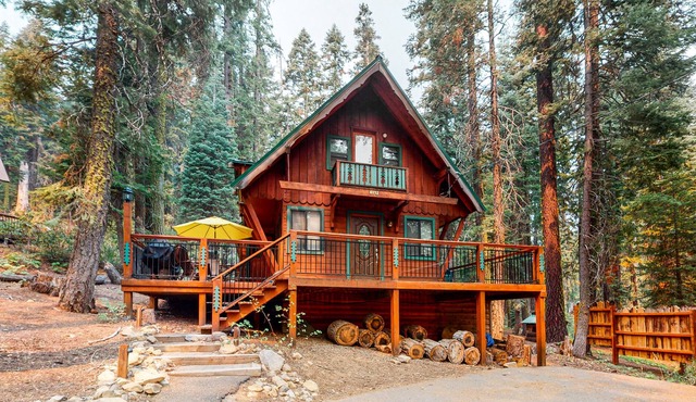 Gorgeous, Dog-Friendly Lodge w/ Loft, Free WiFi, Fireplace - Near Beach & Skiing