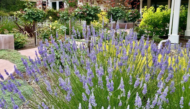 Gorgeous Executive House w/3 bedrooms Hillside Views-Year Lease