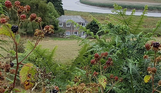 Gorgeous, family friendly riverside cottage in the heart of Tamar River Valley