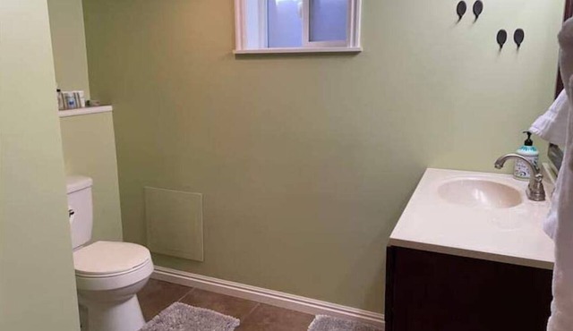 Gorgeous Full Basement With Everything You Need