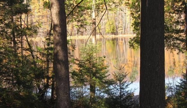 Gorgeous getaway in the Northwoods, 3 miles from snowmobile /ATV trails
