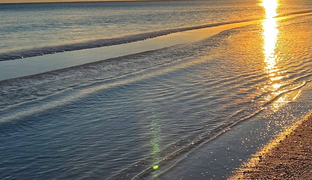 Gorgeous Gulf Front Beach Oasis - Emerald Surf #302