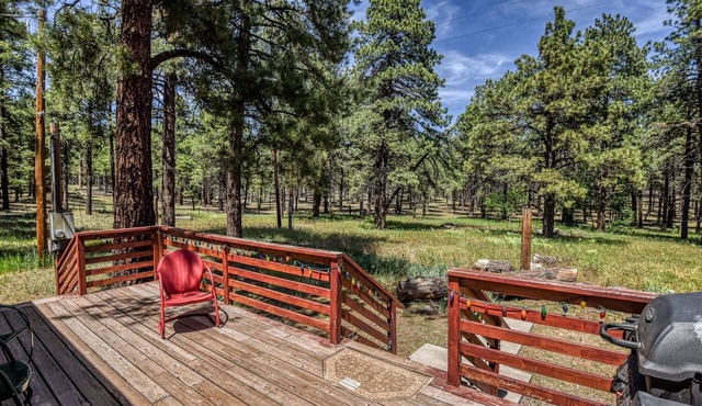 Gorgeous & Historic 3 BR Log Cabin w/Forest Views /20 Minutes from Flagstaff/