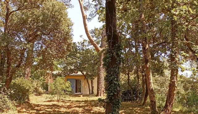 Gorgeous home in Besse sur Issole