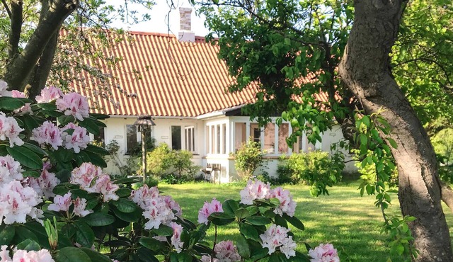 Gorgeous home in Askø with WiFi