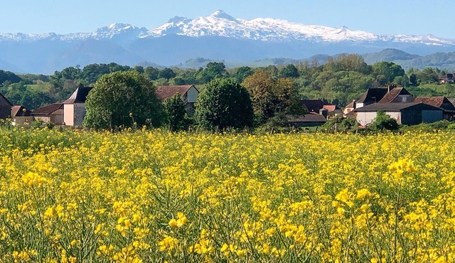 Gorgeous home in Dognen with WiFi