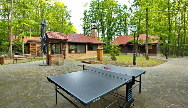 Gorgeous home in Gustelnica with sauna