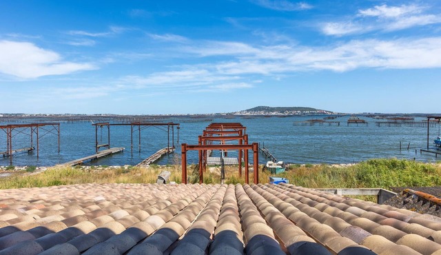 Gorgeous home in Loupian with house sea view