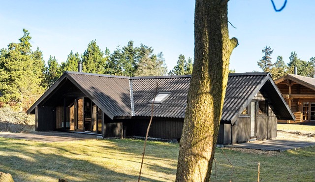 Gorgeous home in Skjern with WiFi