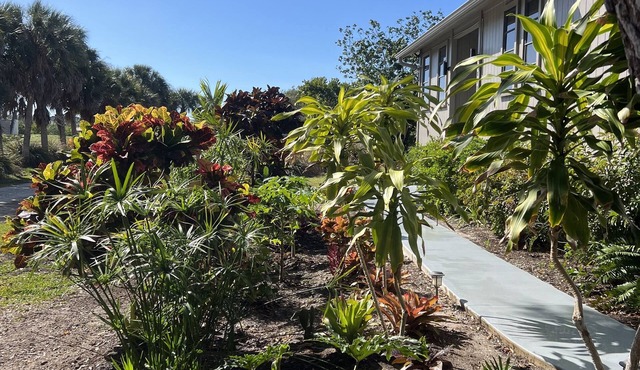 Gorgeous house , private road, 0.8 miles to Manasota Beach-RomanticGataway