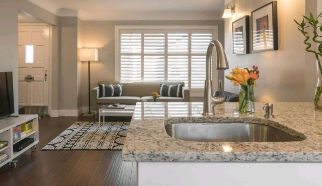 Gorgeous in Downtown Royal Oak! Designer Home, Perfect Reviews, 2 full baths!