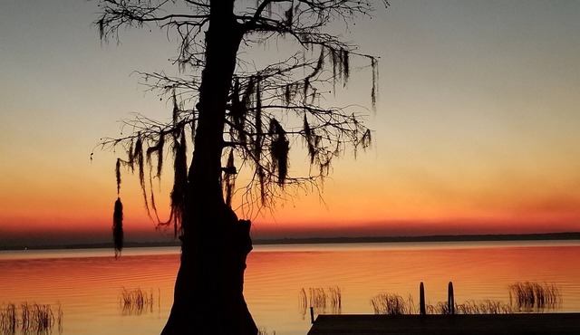 Gorgeous Lake Retreat! Fully Remodeled! Lochloosa on my Mind!