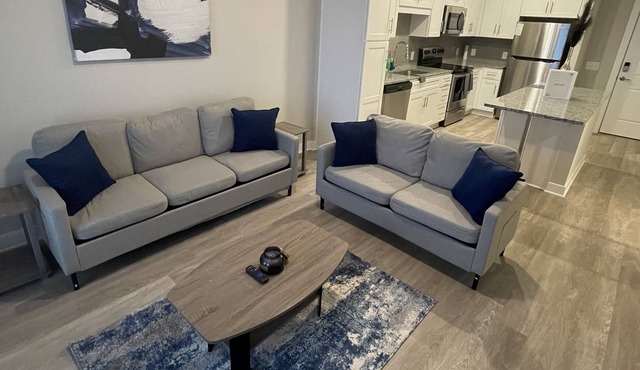 Gorgeous Luxury 1 Bed 1 Bath