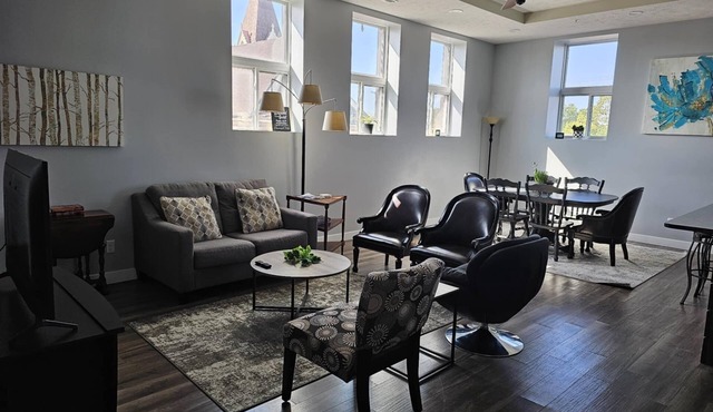 Gorgeous Modern 1500 sq ft 3 bedroom/2 bath Downtown Apartment