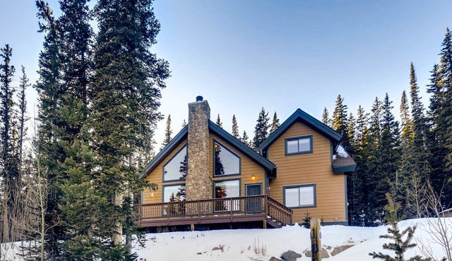 Gorgeous Mountain Cabin, Family Friendly w/Expansive Windows, Fireplace - Willow Creek