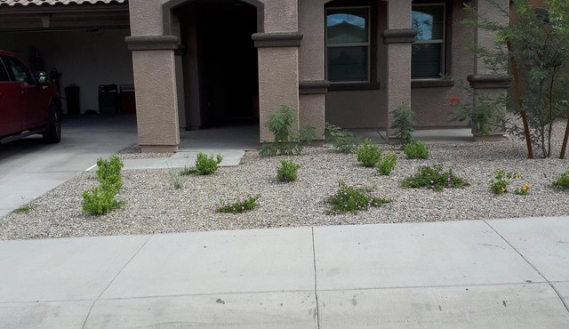 Gorgeous new home in Estrella Mountains