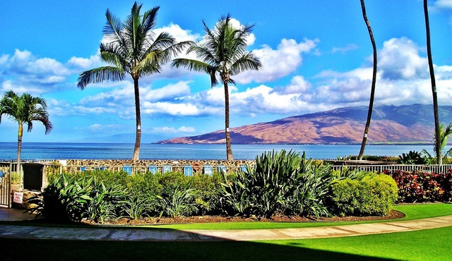 Gorgeous Oceanfront Condo Steps From The Beach, Air Conditioned, Free Wi-Fi