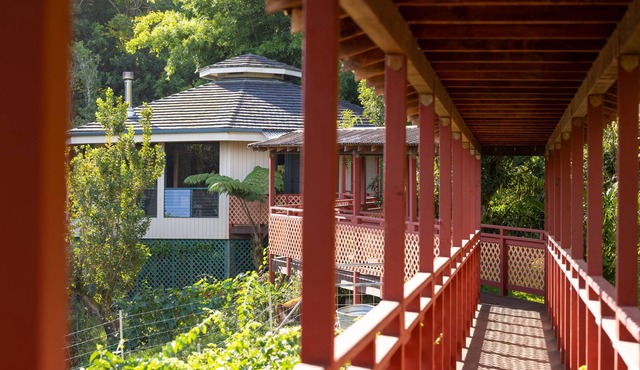 Gorgeous Octagon - surrounded by forrest and mini cows!