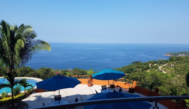 Gorgeous Poolside1-Bedroom Ocean View Condo #104