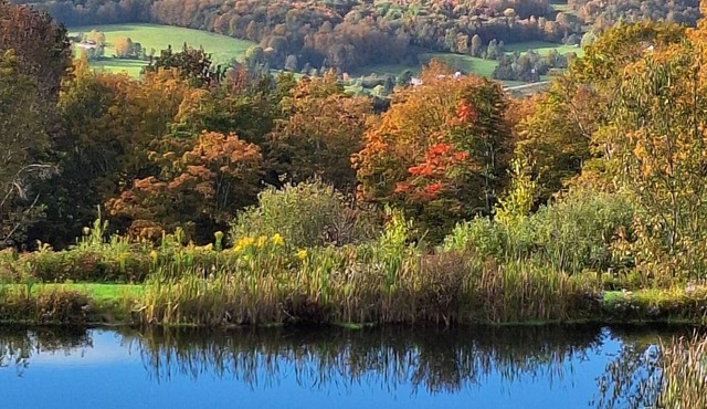 Gorgeous property tucked in the Catskill Mts, with secluded breathtaking views.