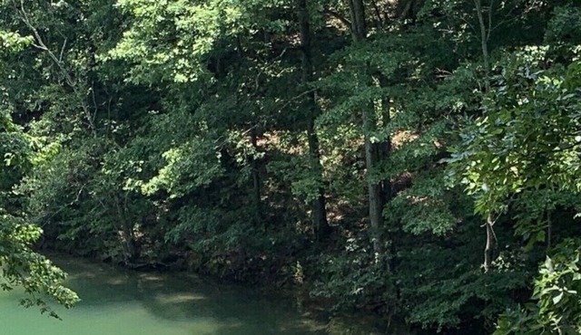 Gorgeous Renovated Lake Front Home on Lanier sleeps 12, w dock, steps to water